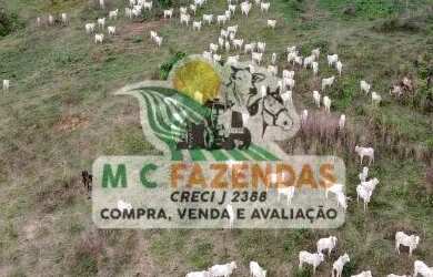 Imagem 2: Fazenda à Venda em Catu Fazenda de Pecuária 101 Hectares 234 Tarefas
