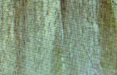 Imagem 16: VENDO FAZENDA 2988 hec ESCRITURADA REGIÃO DE AMAJARI RORAIMA 4250