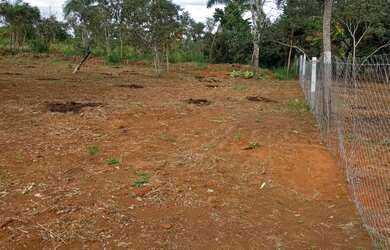 Imagem: O terreno possui 500m² de Área e está localizado em Arapoanga