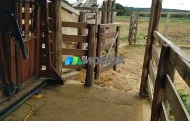 Imagem 6: FAZENDA À VENDA - 113 HECTARES - MORRO DA GARÇA MG