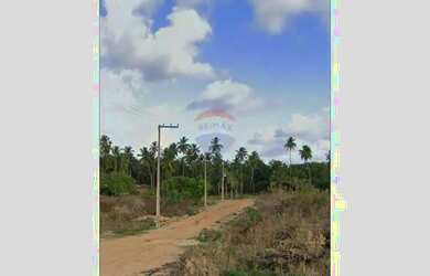 Imagem: O terreno possui 240m² de Área e está localizado em São