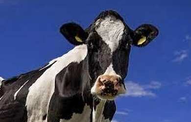 Imagem 1: Crédito Rural e Imobiliário - 60 Mil a 20 Milhões