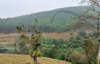 Imagem: O terreno possui 1.000m² de Área e está localizado em Jardim