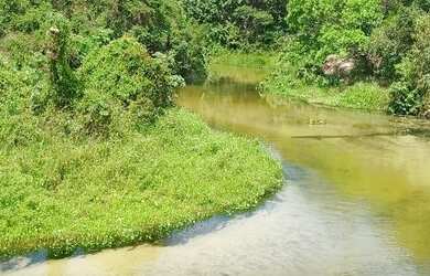 Imagem: A fazenda possui 260.000m² de Área e está localizado em