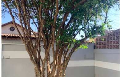 Imagem 13: Casa no Vale do Jatobá