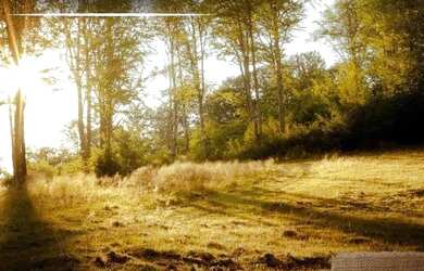 Imagem: O terreno possui 843m² de Área e está localizado em Estância