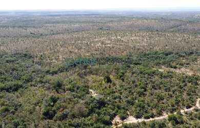 Imagem: A fazenda possui 7.450.000m² de Área e está localizado em