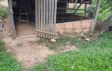 Imagem 6: Vendo esta Linda chácara