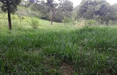 Imagem: A chácara possui 2400m² de Área e está localizado em Centro