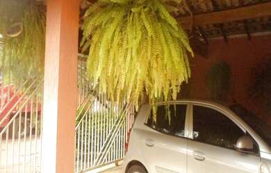 Imagem 16: Casa à venda 3 Quartos, 1 Suite, 2 Vagas, 290M², Recreio Maristela,...