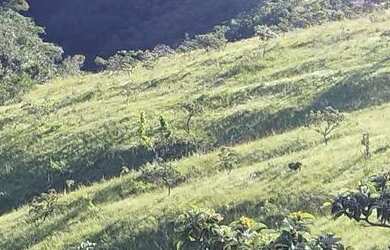 Imagem: A fazenda está localizado em Aparecida de Goiânia, GO à venda