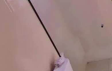 Imagem 3: Apto novo nos ingleses. Imóvel novo, 55m² de Área, 1 Banheiroe2 Dormitórios