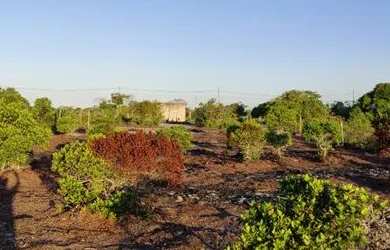 Imagem 2: Vendo terreno medindo 20x100 2.000 metros quadrados por 45.000