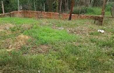 Imagem 2: Terreno no Iranduba. 