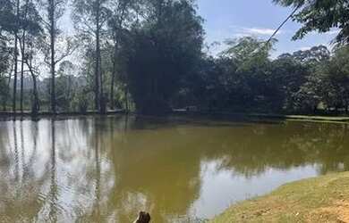 Imagem 14: Lote em condomínio alto padrão