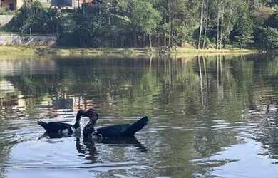 Imagem 11: Lote em condomínio alto padrão