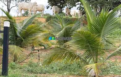 Imagem 7: FAZENDA À VENDA - 113 HECTARES - MORRO DA GARÇA MG