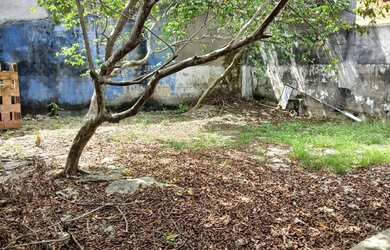 Imagem 15: ENTREGA IMEDIATO, C NOVA, NC 09, Ótimo Imóvel de 03 Qtos