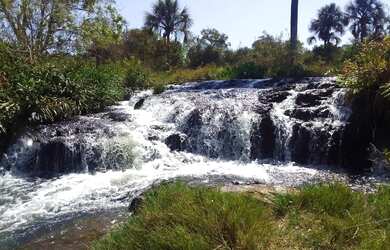 Imagem 3: Fazenda com cana próximo Uberlândia
