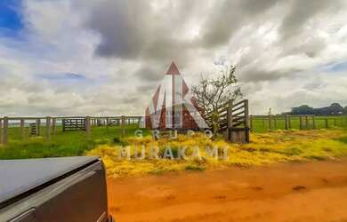 Imagem 10: FAZENDA - MARECHAL CANDIDO RONDON - PR