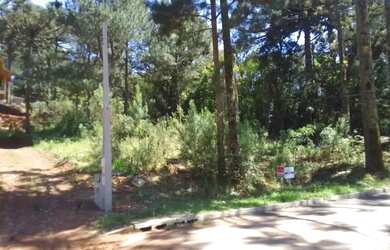 Imagem 4: Terreno - Bairro Dutra. 540m² de Área