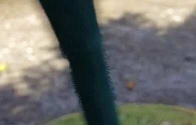 Imagem: A casa possui 3 Dormitórios, 1 Banheiro, 2 Vagas na garagem