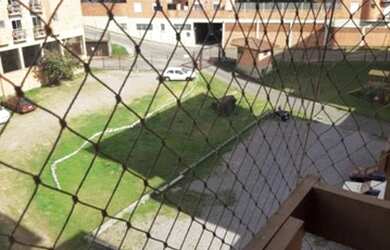 Imagem 5: CAXIAS DO SUL - Apartamento Padrão - INTERLAGOS