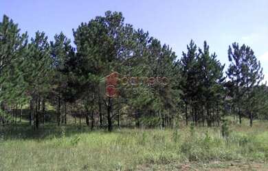 Imagem 1: Campo Limpo Paulista - Terreno Padrão - Jardim Campo Limpo