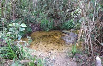 Imagem 10: Terreno 13 ha,com casa, água por gravidade,nascente,Serra do Cipó (Temos varias opções)