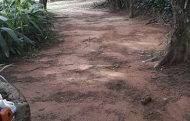 Imagem 7: Emicrei vende Excelente lote na Campestre São Leopoldo