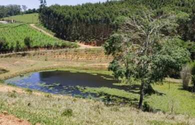 Imagem 4: VENSE-SE TERRENOS 100 PLANOS