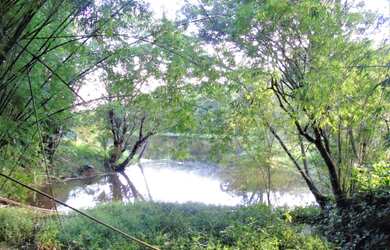 Imagem 12: Sitio no Bairro da Ponte Alta, com Lago em Atibaia, 25mil m²