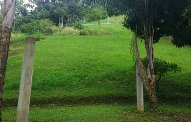 Imagem 11: Terreno Grande 1200m², em pequeno condomínio no loteamento Argeu fazendinha...