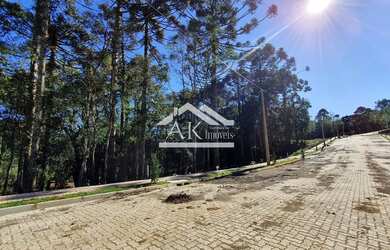 Imagem 2: Terrenos à venda no bairro Linha Imperial, em Nova Petrópolis, na Serra...