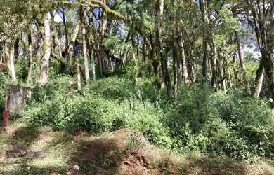 Imagem 5: Terreno em Condomínio - Bairro Pinheiro Grosso