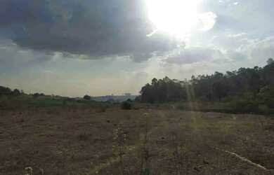 Imagem 10: Sítio à Venda, Floresta Escura, São Pedro, SP