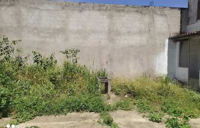 Imagem 6: VENdo CASA NO BAIRRO CONCEIÇÃO