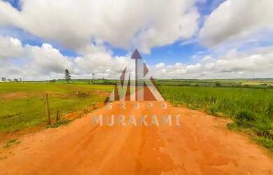 Imagem 4: FAZENDA - MARECHAL CANDIDO RONDON - PR