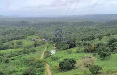 Imagem: A fazenda possui 353.273.000m² de Área e está localizado