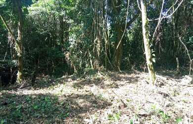 Imagem: O terreno possui 300m² de Área e está localizado em Ubatuba