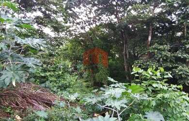 Imagem 3: Terreno em bairro tranquilo