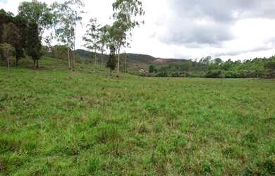 Imagem 6: Terreno 13 ha,com casa, água por gravidade,nascente,Serra do Cipó (Temos varias opções)