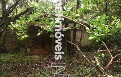 Imagem 15: Venda Sítio Granja Santa Inês são Benedito Santa Luzia