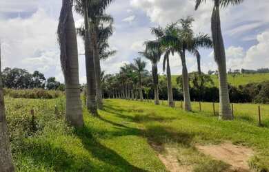 Imagem: A chácara e está localizado em São Sebastião do Paraíso