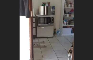 Imagem 7: BELO Apto Térreo 2 quartos