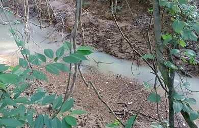 Imagem 5: Oportunidade única, fazenda 22 hectares formando por apenas 700k