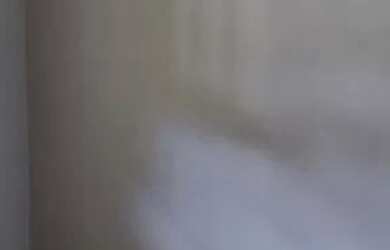 Imagem 9: APARTAMENTO RESIDENCIAL em Nova Friburgo - RJ, Mury