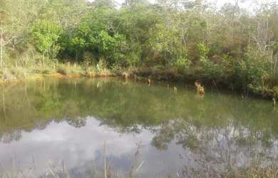 Imagem 11: FAZENDA PRODUTIVA COM 472HECTARES, HA 55KM DE UNAI