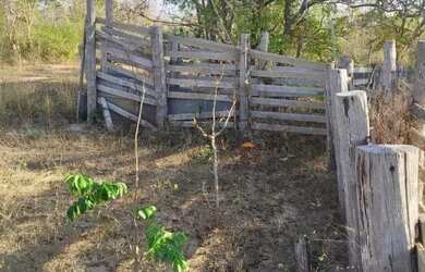 Imagem 6: Fazenda em Buritizeiro - Minas Gerais, à venda com 5600ha