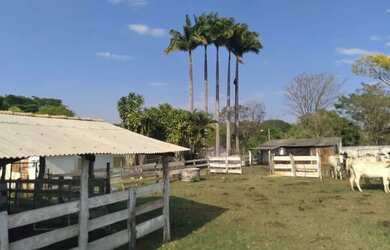 Imagem 7: Venda de fazenda maravilhosa grandiosa